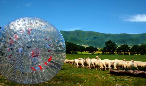 Gorg no Zorb Umbria